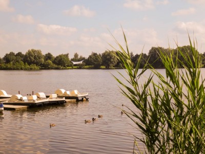 IMG0920-2