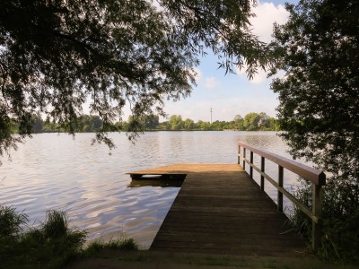 IMG0931-2